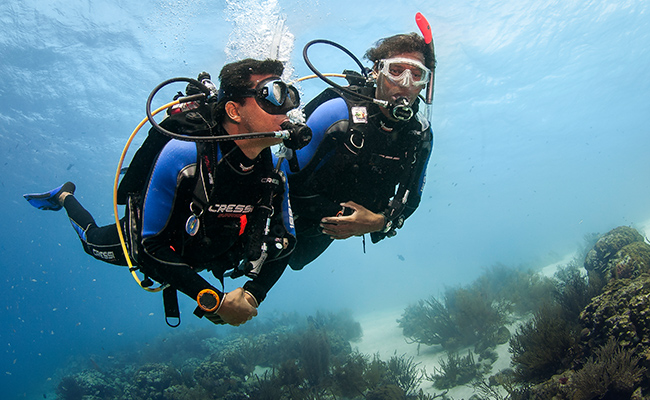 Become A PADI Pro